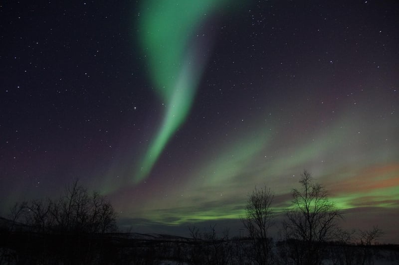 Aurora Borealis Receptions